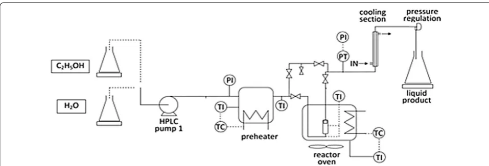 Fig. 4 Schematic description of the assembled flow-through apparatus for LHW experiments