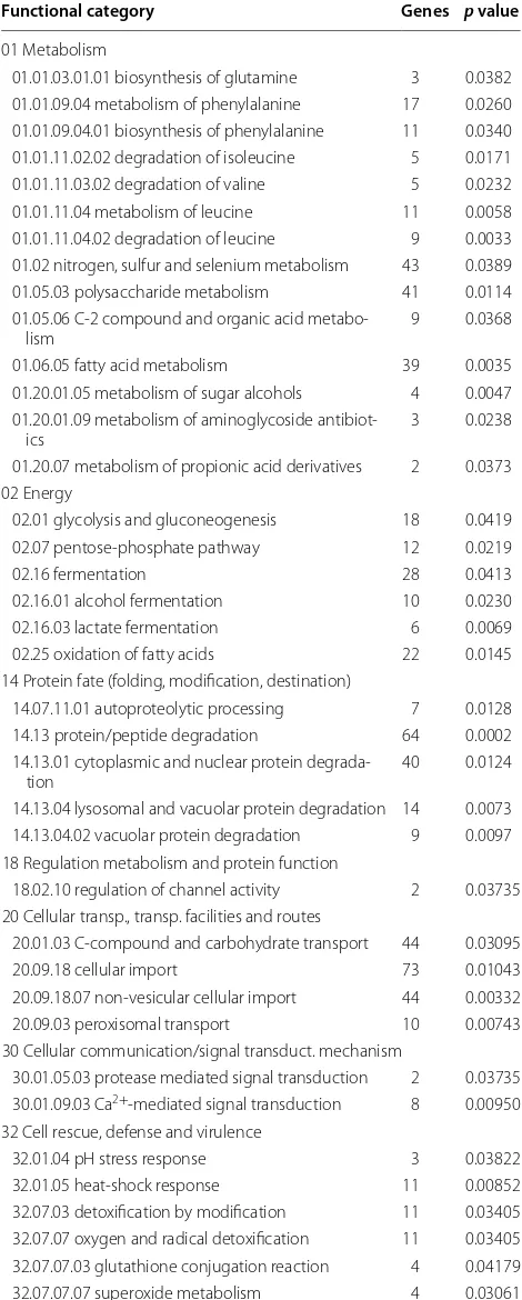 Table 1 MIPS functional catalog category classification of all the genes specifically up-regulated in pkaA deletion strain