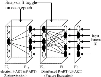 Figure 1: P-ART Network 