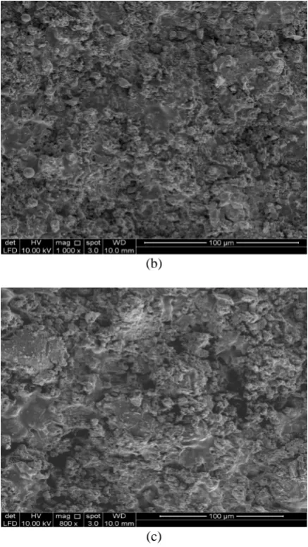 Fig. 1.  Scanning Electron Microscopy of (a) carbon steel (uncoated), (b) Cr3C2-25%NiCr coated, (c) Al2O3-13%TiO2 coated samples before corrosion testing 