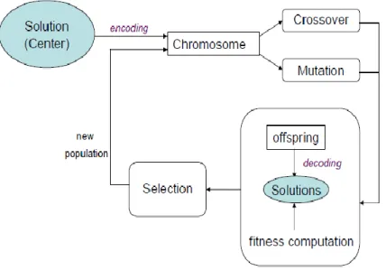 Fig 3. The general structure for GAs