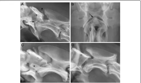 Figure 3 Oblique lateral (A) and ventrodorsal open-mouth (B) radiographs of the cranial cervical vertebrae of dog 2
