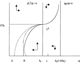 Figure 5.7: Transition Dynamics