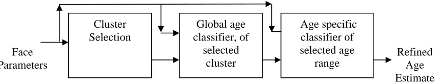 Figure 6: Block diagram of the appearance and age specific age estimation approach 