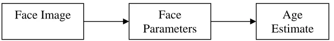 Figure 1: Block diagram of the age estimation approach 