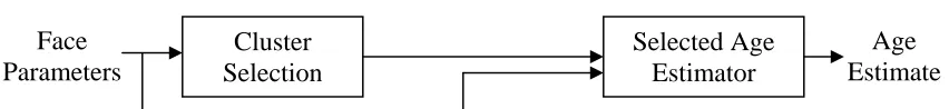 Figure 3: Block diagram of the appearance specific age estimation approach  