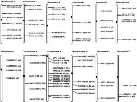 Table 2. Details on the number of backcross and selfed progenies of rice generated and genotyped during different cycles of backcross breeding 