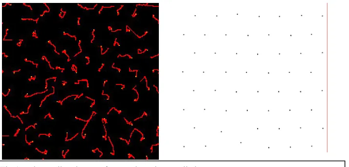 Fig 4 turtles settling down to form a triangular tessellation