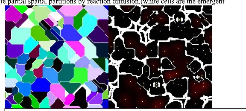 Fig 6 a b c d emergent voronoi organisation using netlogo turtles