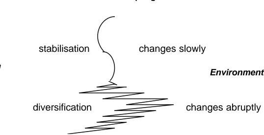 Figure B.2 -  Patterns of Coupling Between Living Being and Environment  