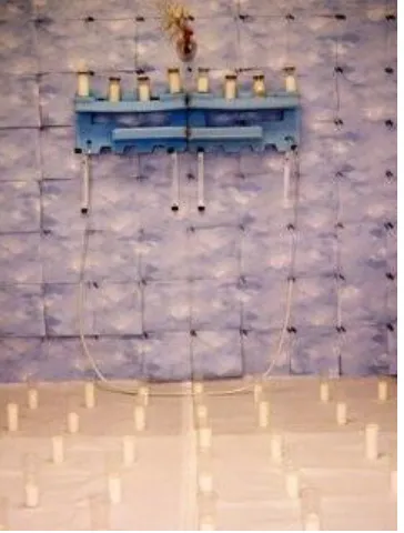 Figure 1a: epluribusum; Installation View 