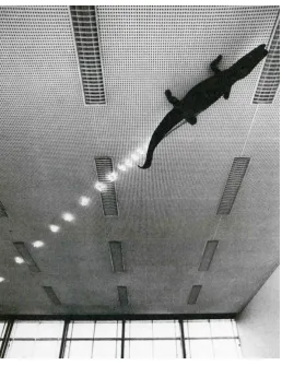 Fig. 2 Mario Merz, Niger Crocodile, 1972 