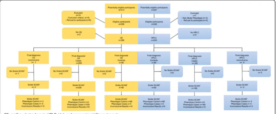 Fig. 1 Flow Chart of participants in Lomé (Togo), Mai-June 2016, (n = 295) (On the left side) and in Bamako (Mali), October 2016, (n = 240)(On the right side)