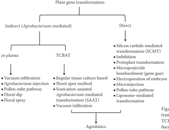 Figure 1. Direct and indirect gene transformation methods in plants