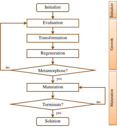 Fig. 2 Simulated metamorphosis algorithm 
