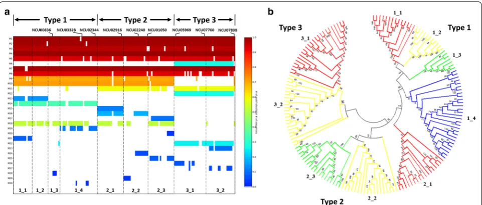 Fig. 6 Motif analysis of AA9 domains. a Heat map representing the extent of conservation of the identified 30 motifs on AA9 sequences
