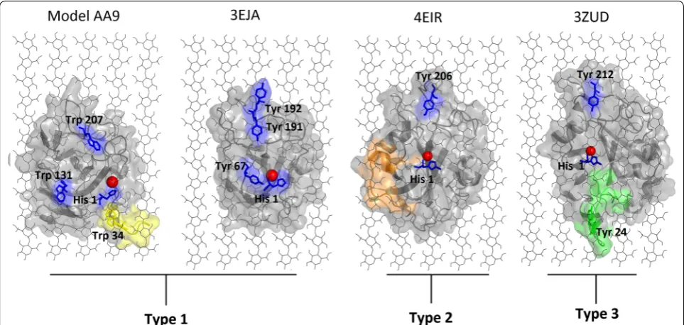 Fig. 2 Structural representation of type-specific inserts of AA9 domains. Proteins are shown as cartoons and colored in gray, with the inserts colored in green and orange for region I and II, respectively