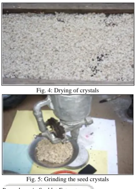 Fig. 5: Grinding the seed crystals 