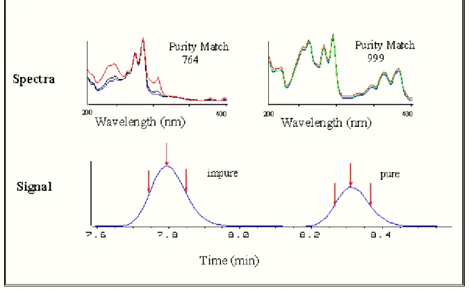 Figure 1. Examples of pure and impure HPLC peaks. The chromatographic signal does not  indicate any impurity in either peak