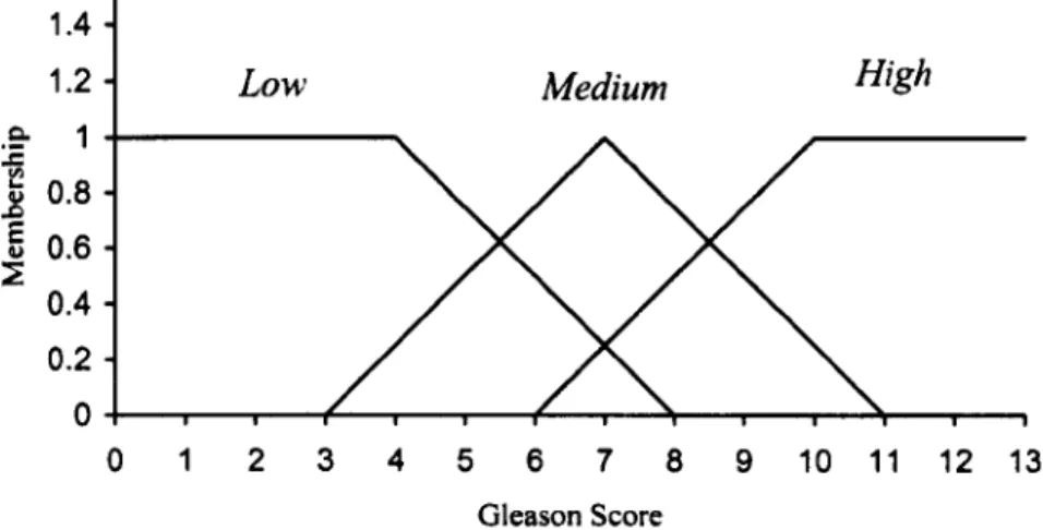 Figure 4.4 Membership function of fuzzy  sets  low, medium  and  high  Gleason  score