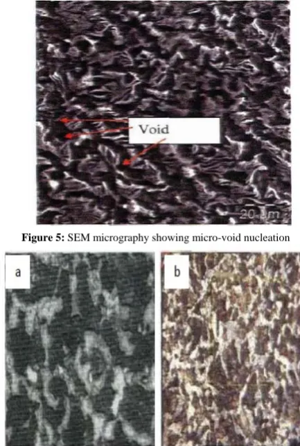 Figure 5: SEM micrography showing micro-void nucleation 