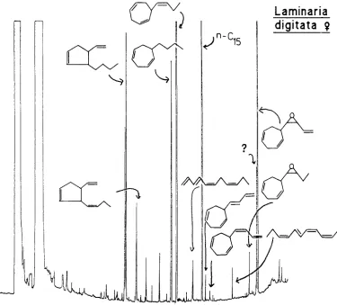 Fig. 3. Gas chromatogram of volatile excretions from the eggs of Laminaria du'gitata (Phaeophyceae, Laminariales)