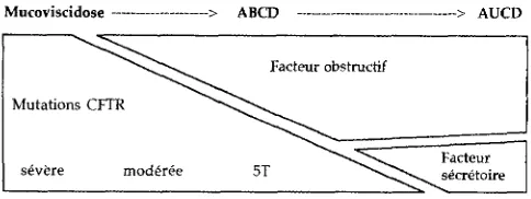 Figure 2 : Representation sch~matique des r61es respectifs des mutations de la mucoviscidose et de facteurs hypoth$tiques impliqu$s dans la pathogdn~se des absences des canaux ddfdrents