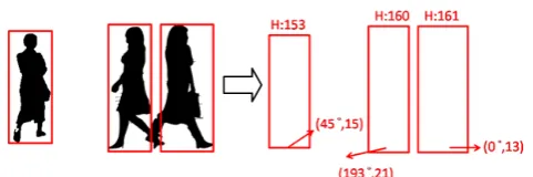 Fig. 2. Extracting ROI from the original image. 