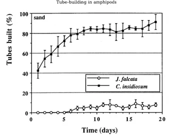 Fig. 3. Tube-building in Jassa falcata period (n = 30 individuals in each replicate); error bars = arithmetic mean _+ 1 standard deviation and Corophium insidiosum given coarse sand (300-500 ~m grain size) as a substrate