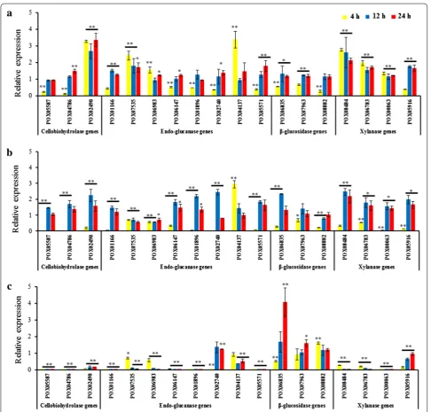 Fig. 5 Regulation of gene expression by PoxClrB, POX02484, and POX08522. Under induction by the same carbon source, the expression levels of genes encoding three cellobiohydrolases, eight endo‑glucanases, three β‑glucosidases and four xylanases were determ