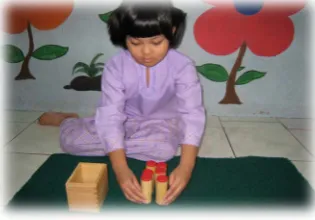Figure 6. Montessori instruments. 