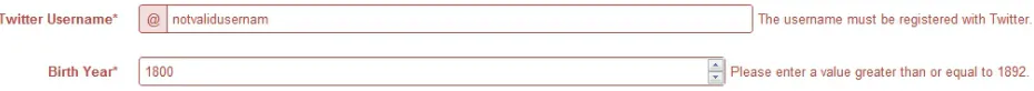 Figure 3: The web form highlights input errors and displays an associated message, requiring theuser to correct errors before the form will submit.