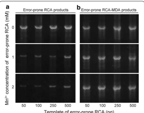 Fig. 2 Yield of the error-prone RCA and MDA products after digestion with restriction enzyme