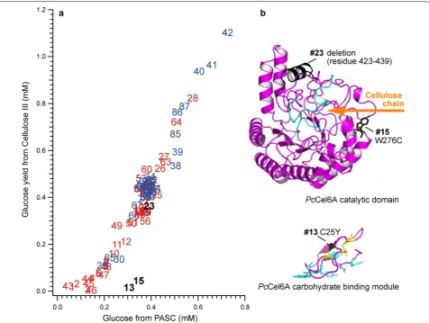 Fig. 5 1–42), and 45 transformants from error-prone RCA-MDA plates under the conditions of 2 mM MnForty-two transformants were selected from error-prone RCA-MDA plates under the conditions of 2 mM Mna Plot of amorphous cellulose (PASC)-degrading activity v