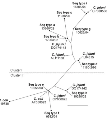 Figure 1Radial representation of a phylogenetic tree constructed by the neighbour-joining method showing the relationships between the different sequence types (Seq type), the different sequence types (Seq type), C