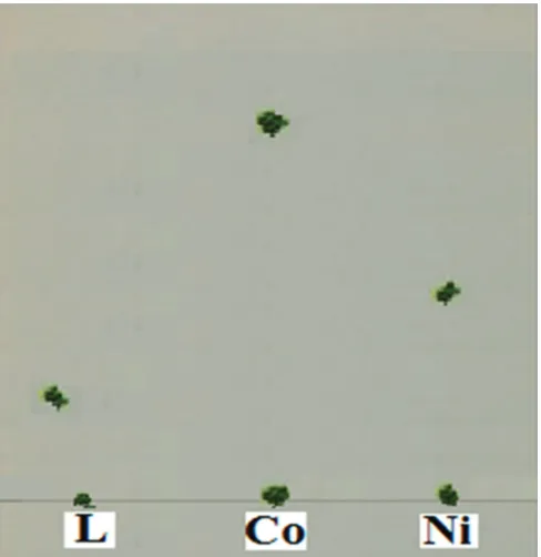 Fig. 9. The ultraviolet-visible spectrum of [Co(L)Cl2] complex