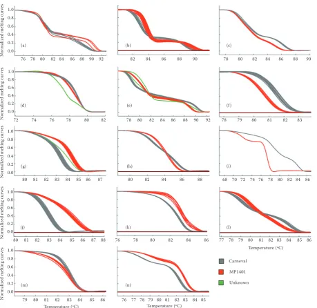 Figure 2. High resolution melting (HRM) analysis of marker PSMP-SAA72 confirmed by gel electropho-resis; C – Carneval; M – MP1401; 1 to 6 – population samples; Un-known is a sample that did not match the parental genotypes; Negative is a sample that did not amplify