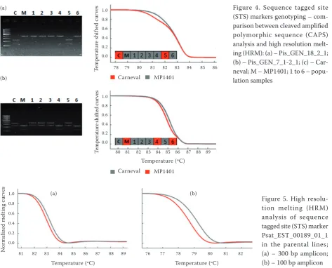 Figure 4. Sequence tagged site (STS) markers genotyping – com-parison between cleaved amplified polymorphic sequence (CAPS) analysis and high resolution melt-ing (HRM): (a) – Pis_GEN_18_2_1; (b) – Pis_GEN_7_1-2_1; (c) – Car-neval; M – MP1401; 1 to 6 – popu-lation samples