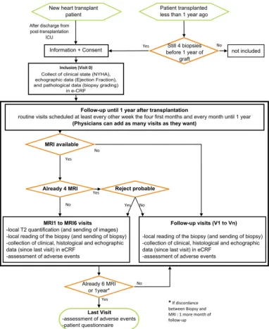 Figure 1Flow chart of the study (eCRF, electronic case report form; ICU, intensive care unit; NYHA, New York HeartAssociation).