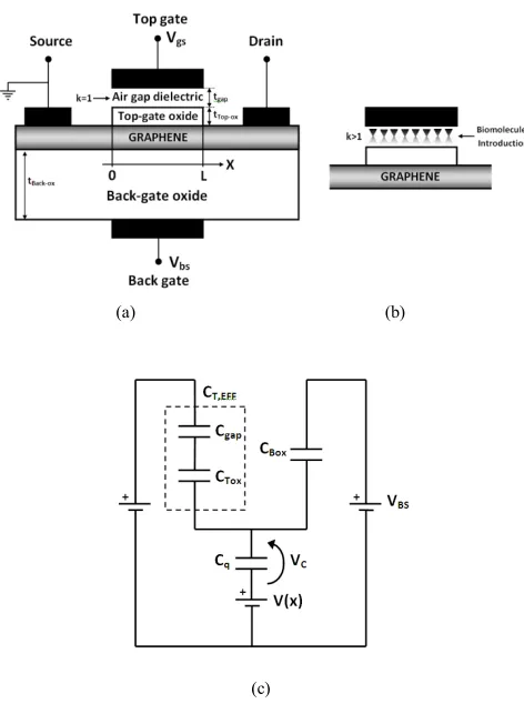 Figure 1.  Cavity after biomolecules introduction. (c) Equivalent capacitive circuit of (a) cross section view of the double gate GFET transistor with air gap dielectric for the biodetection before the biomolecule binding