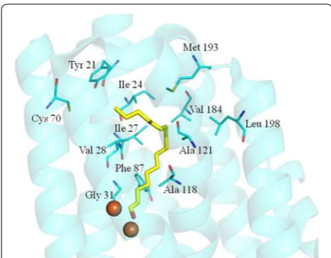 Fig. 1 Identified residues which might affect the substrate specificity of cADO (PDB code: 4RC5)