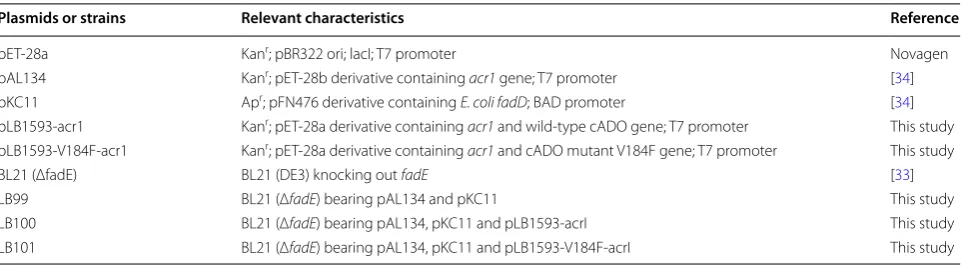 Table 5 Detailed information on the plasmids and strains used