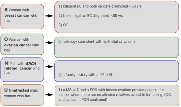 Figure 1. BRCA1/BRCA2 testing criteria for Pan-Thames Consortium 2014 