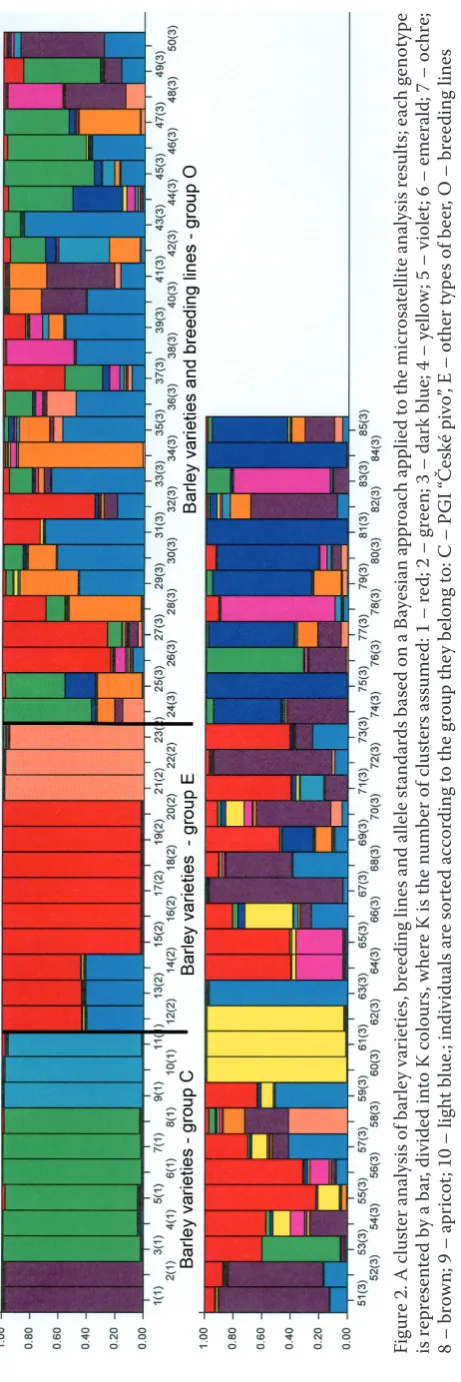 Figure 2. A cluster analysis of barley varieties, breeding lines and allele standards based on a Bayesian approach applied to the microsatellite analysis results; each genotype is represented by a bar, divided into K colours, where K is the number of clusters assumed: 1 – red; 2 – green; 3 – dark blue; 4 – yellow; 5 – violet; 6 – emerald; 7 – ochre; 