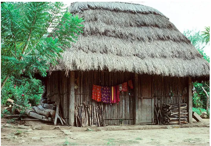 Figure 5  A typical home of a poor Aztec 