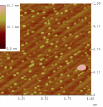 Figure 2.2: Representative atomic force micrograph for samples used in this study.