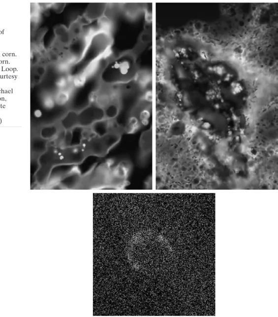 FIGURE 1.8 Examples of ultraviolet imaging.