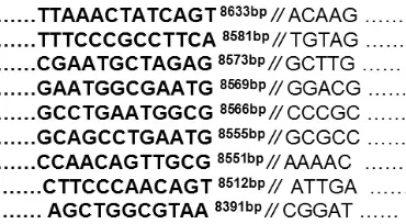Table 2. Variation of T-DNA border adjacent regions in transgenic cotton plants