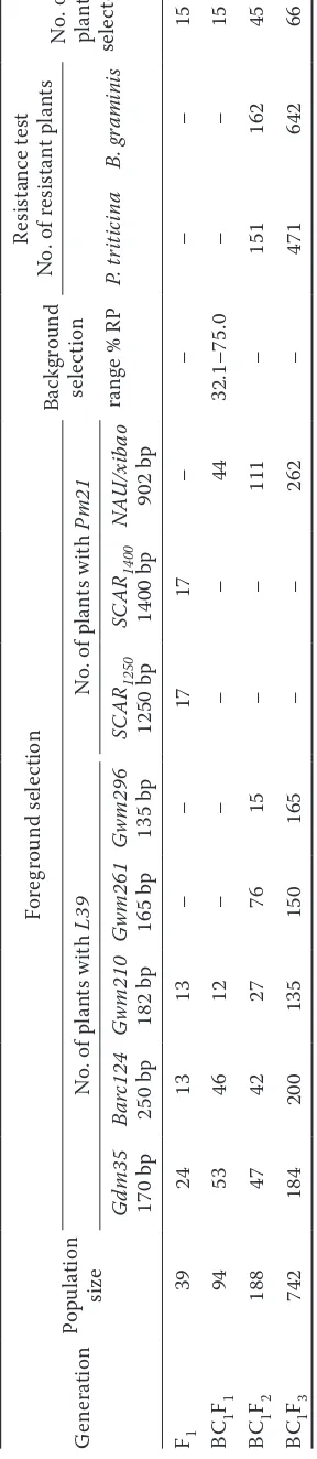 Table 1. Molecular analysis (foreground and background selection) and resistance of the ((Lexus ×powdery mildew 