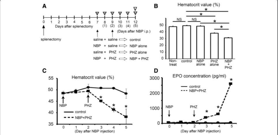 Fig. 1 Experimental schedule and the analysis of peripheral blood. a The schema of the experimental schedule